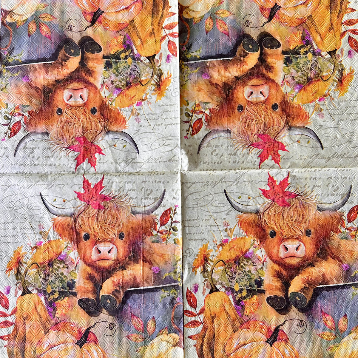 Napkin Bundle | Highland Cows