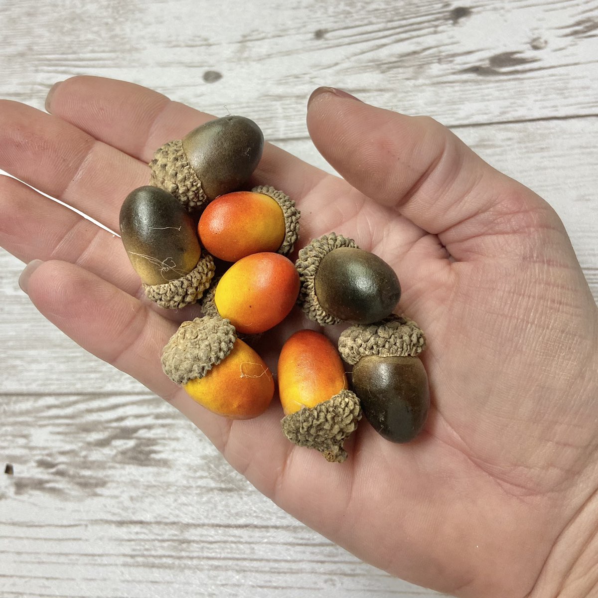 Acorn Packs