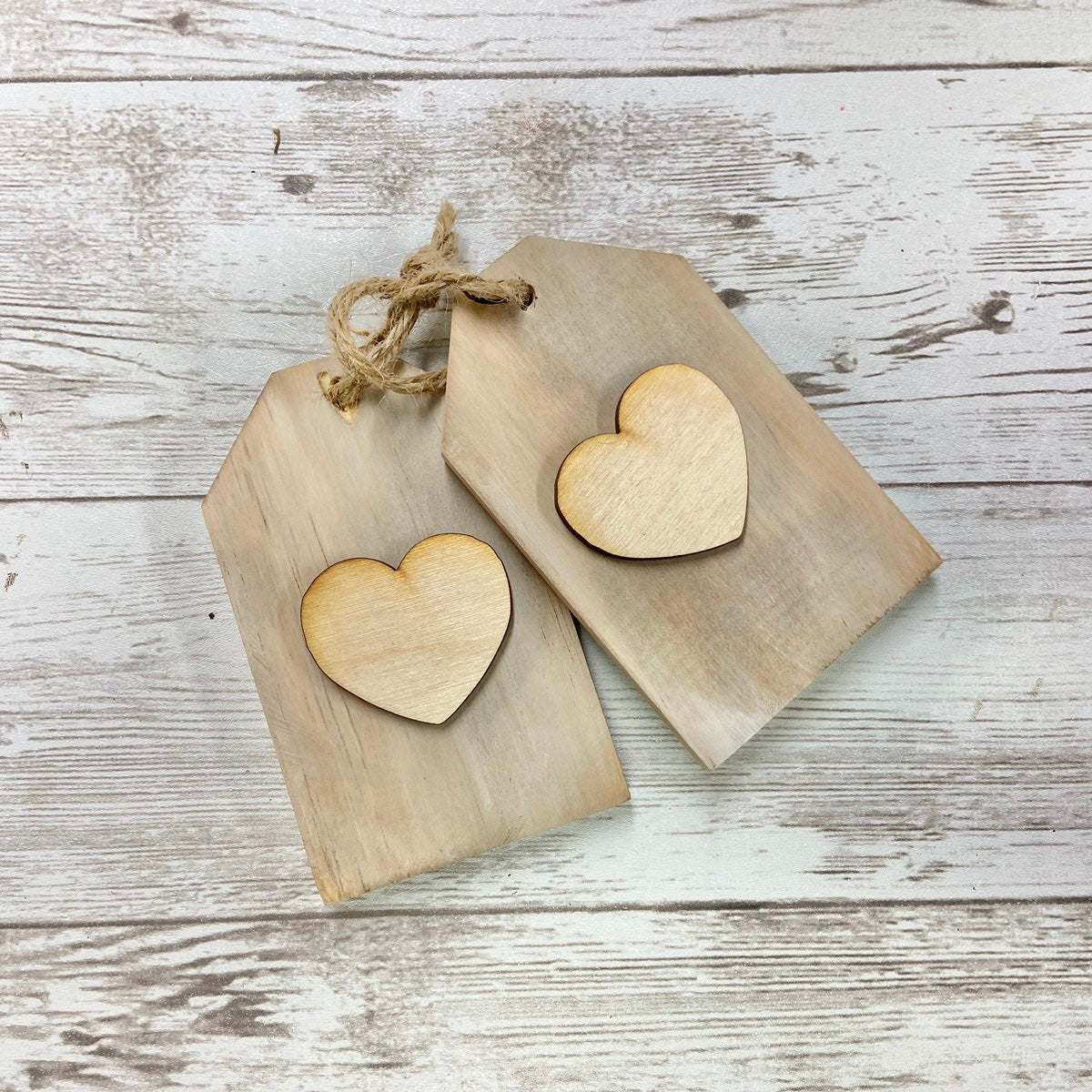 DIY Mini Tags (Set of 2)