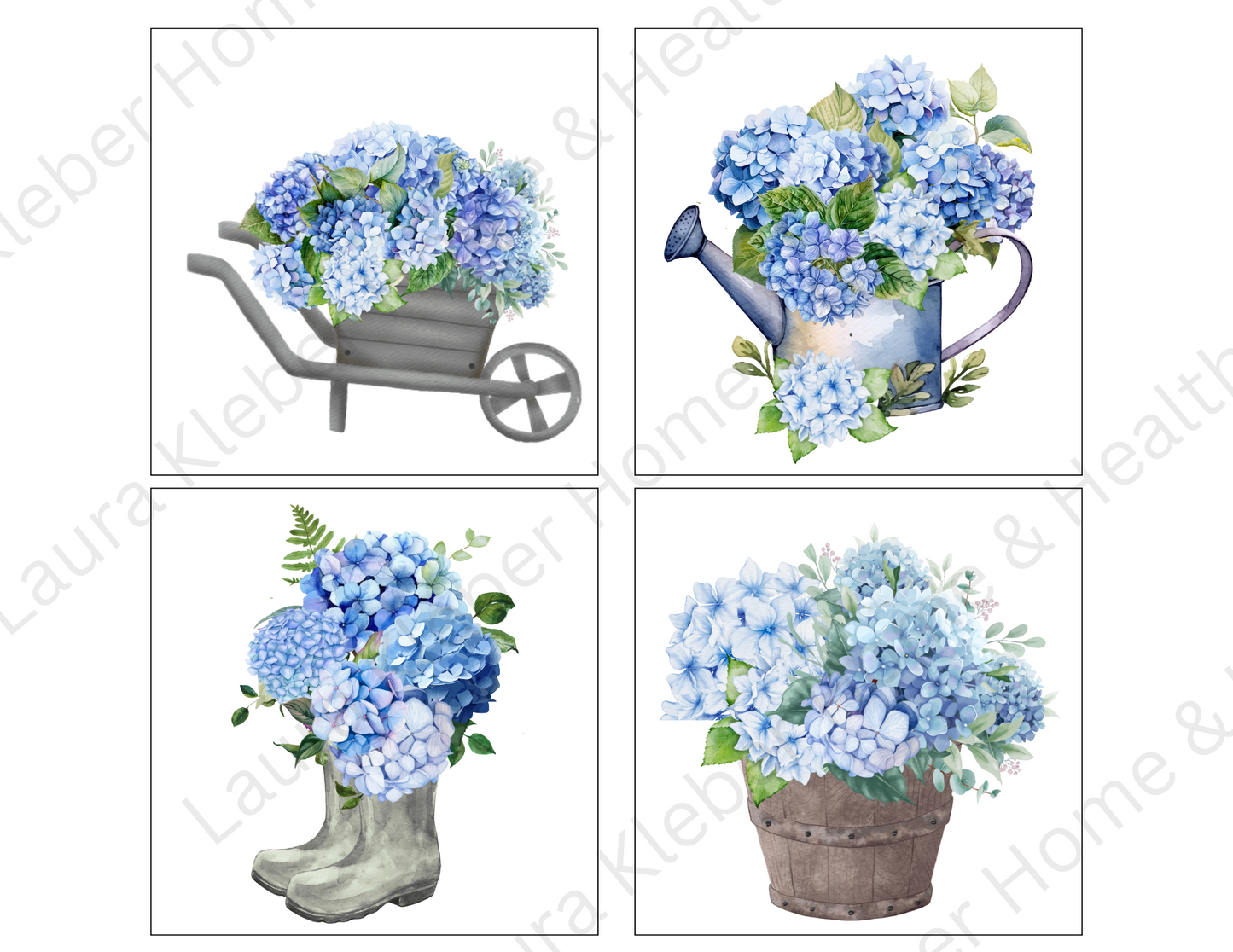 Prints | Blue Hydrangeas