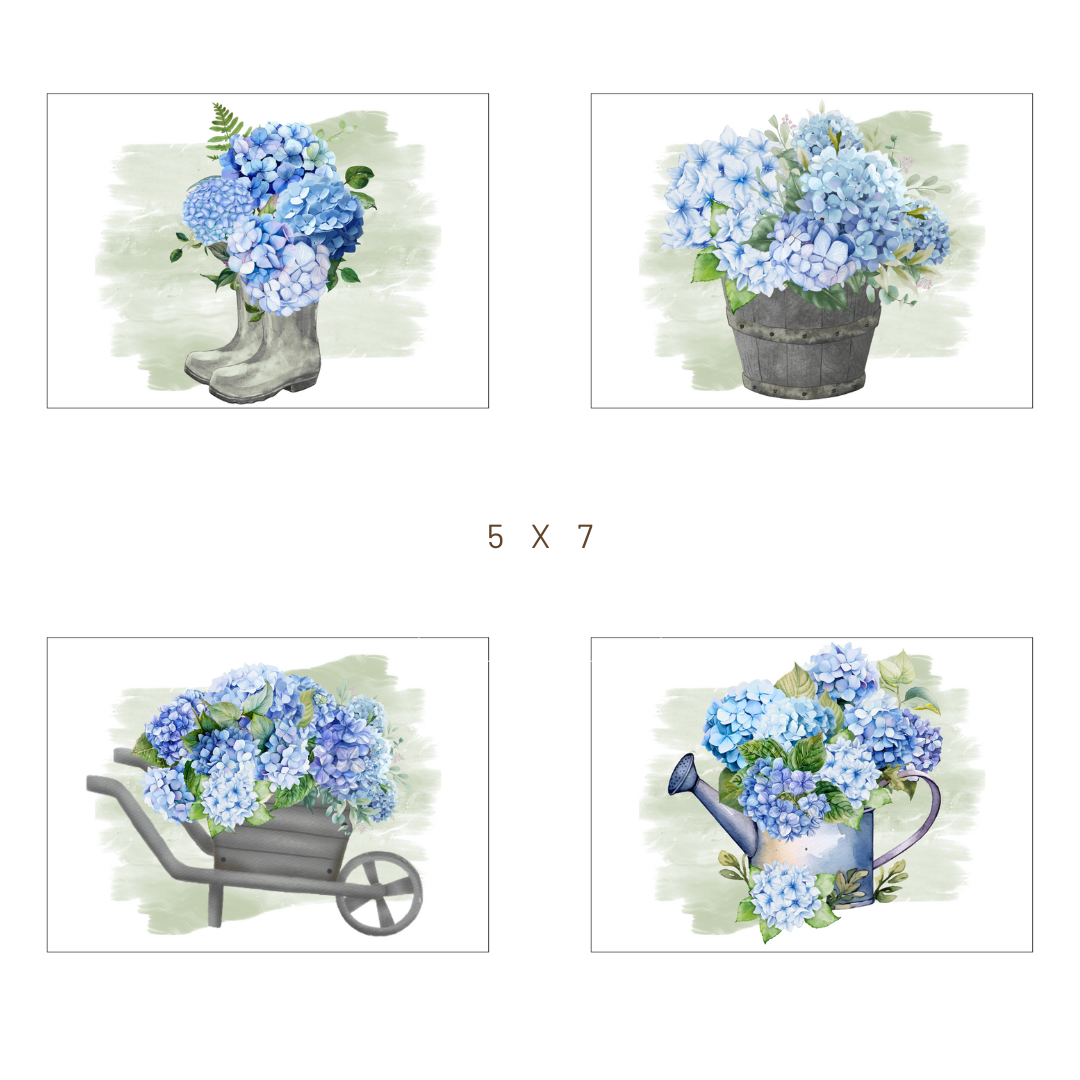 Prints | Hydrangeas