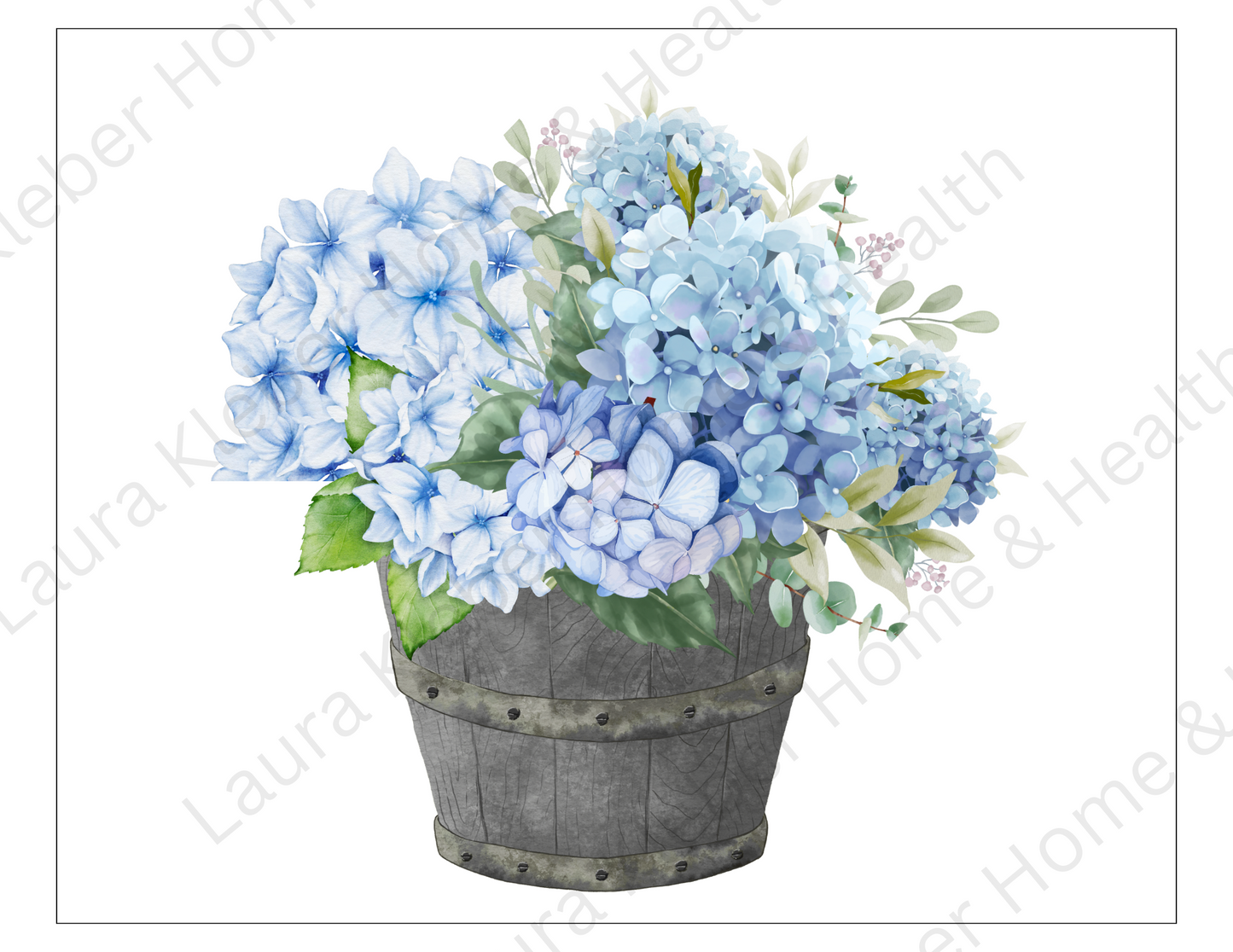Prints | Blue Hydrangeas
