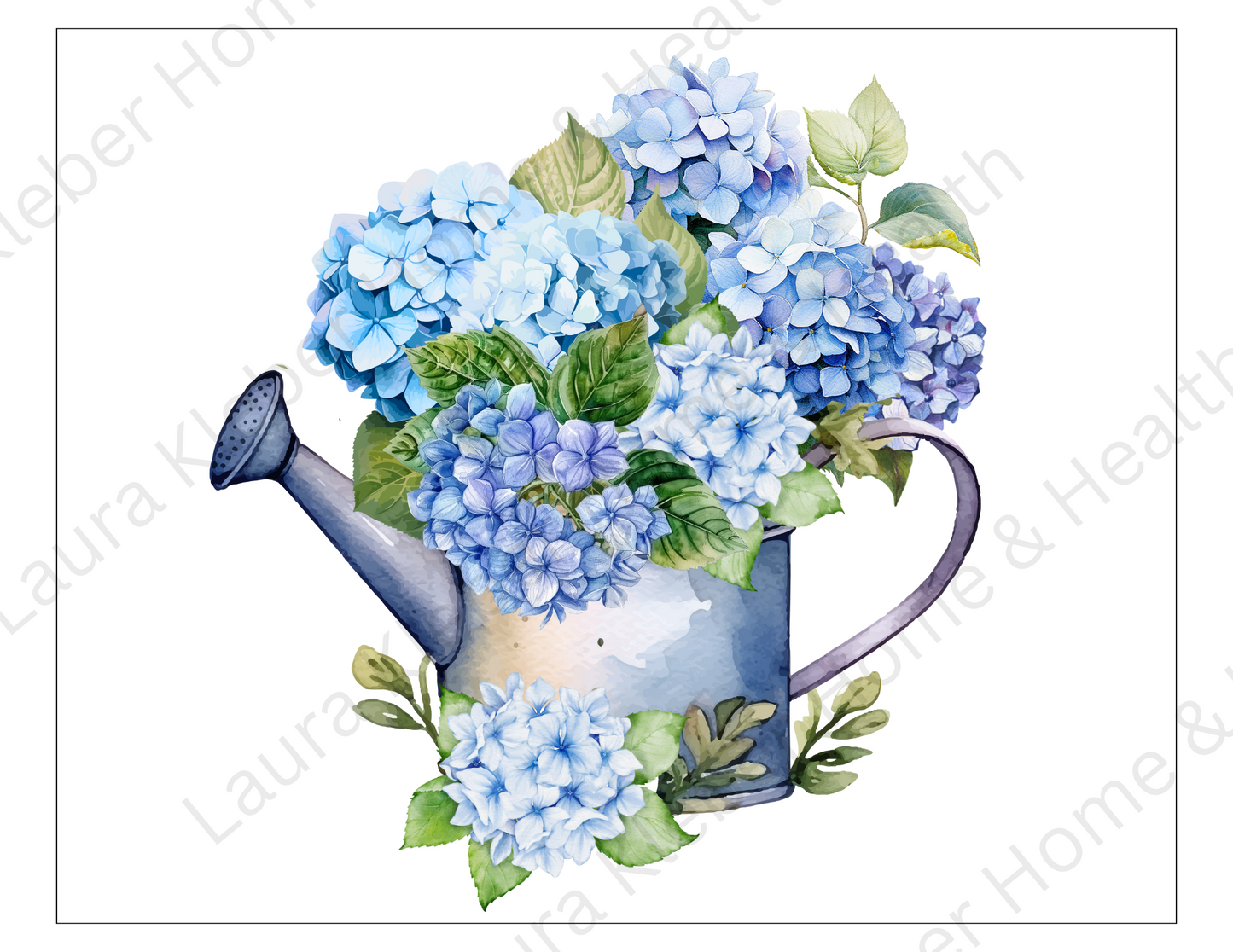 Prints | Blue Hydrangeas