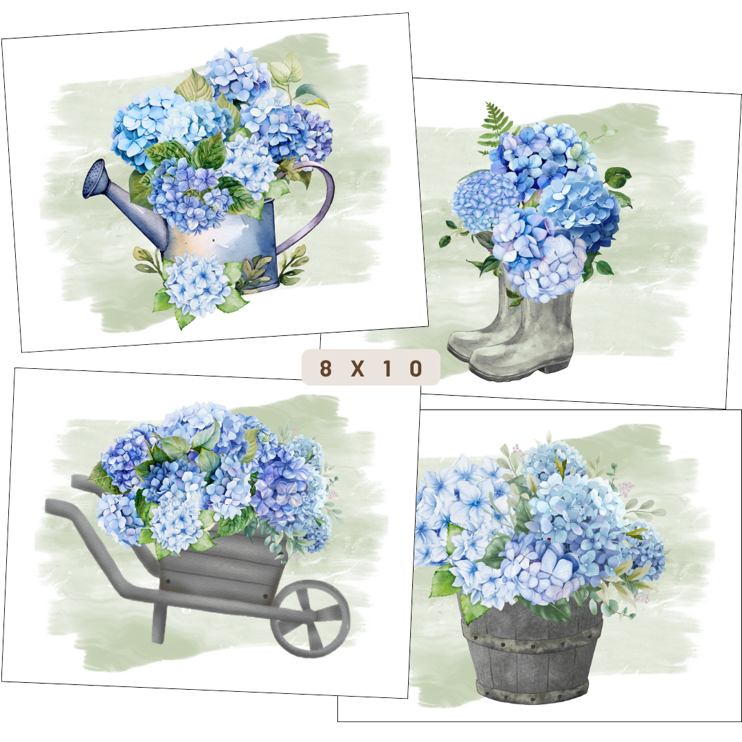 Prints | Hydrangeas