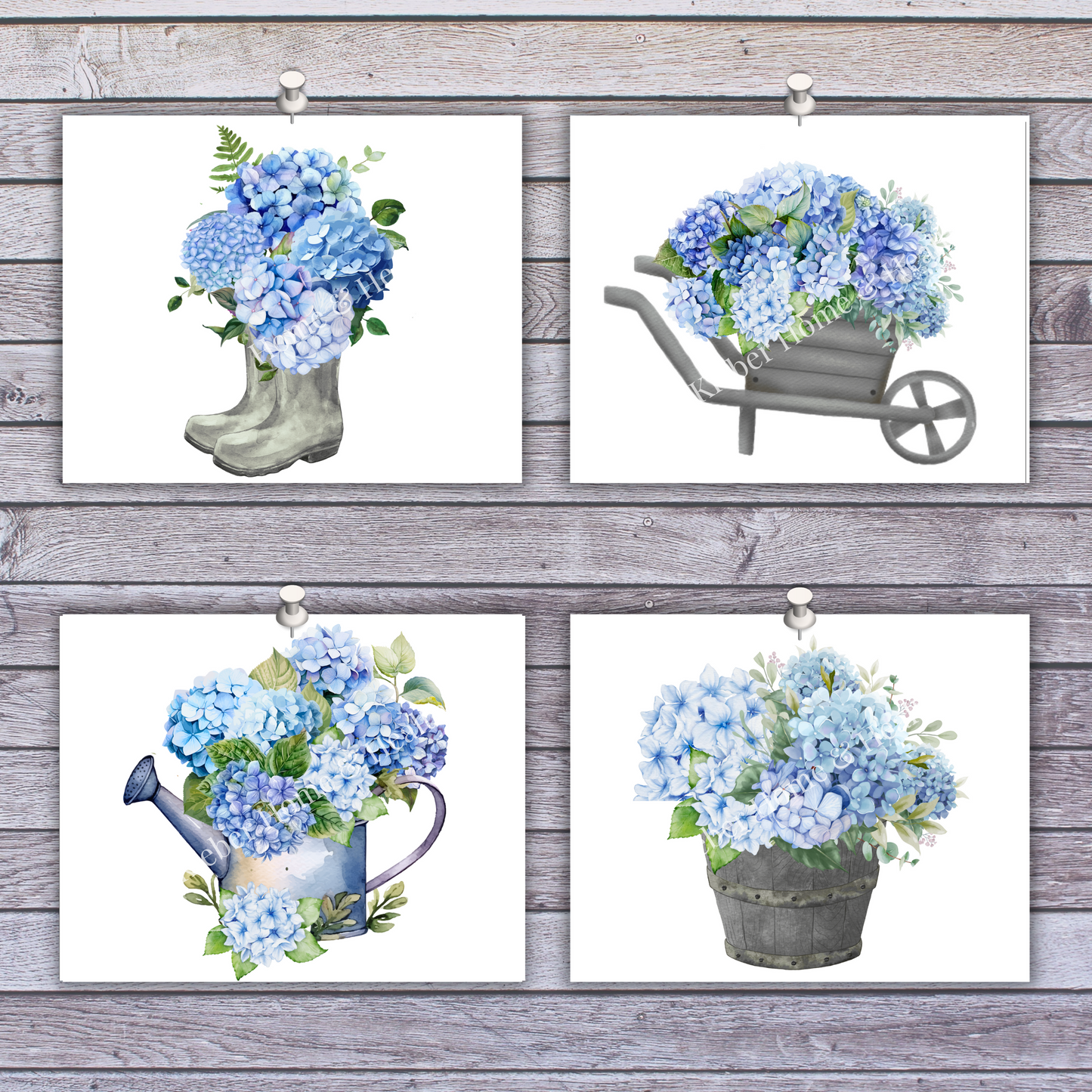 Prints | Blue Hydrangeas