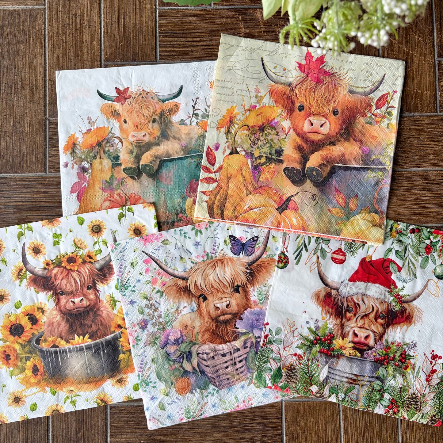 Napkin Bundle | Highland Cows
