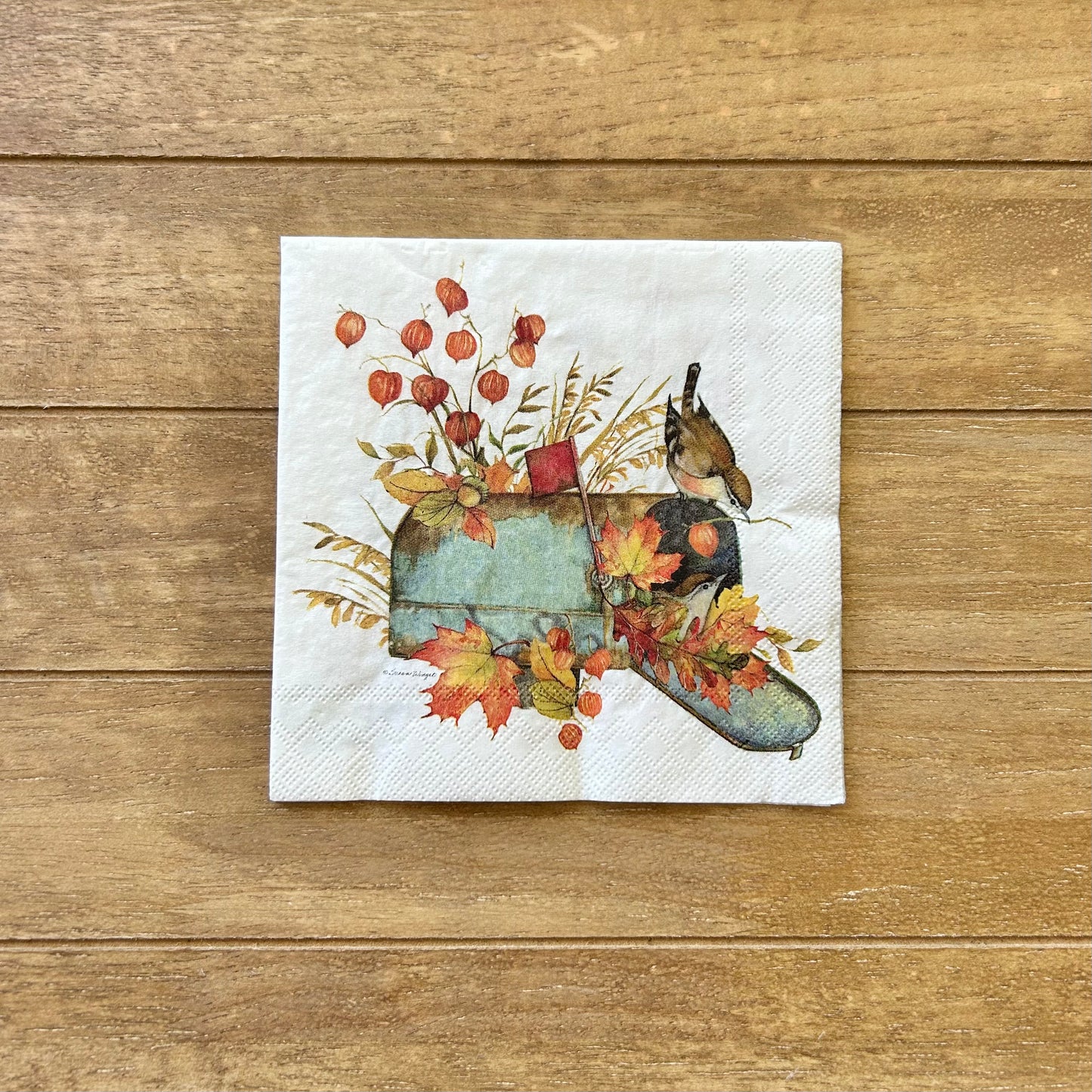 Napkin | Fall Mailbox