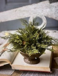 Alpine Cedar Half Sphere