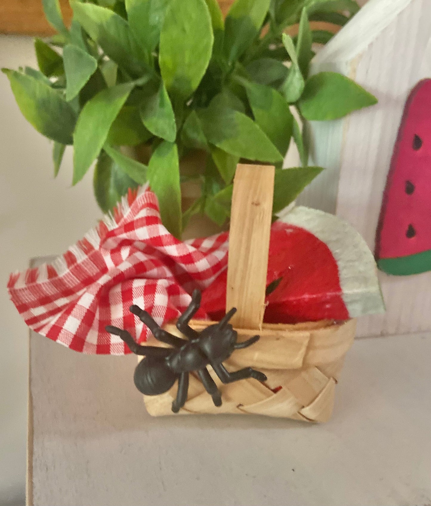 Come Picnic with the Ants