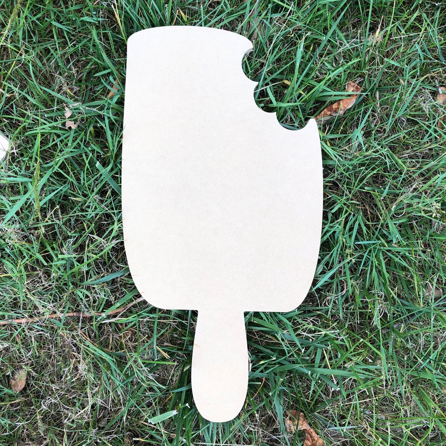 Wood Blanks - Seasonal & Shapes