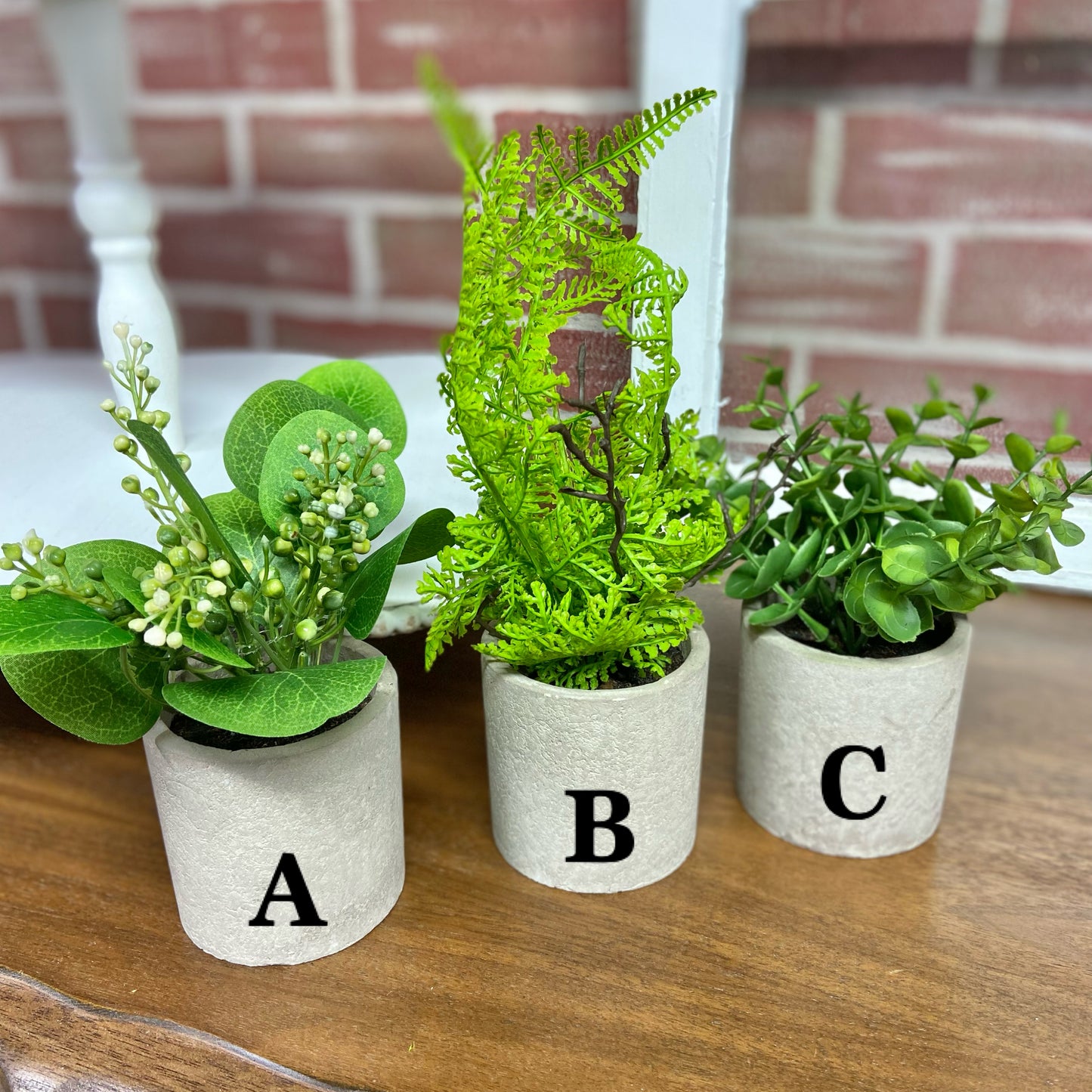 Potted Plant (Pick from 3 Styles)