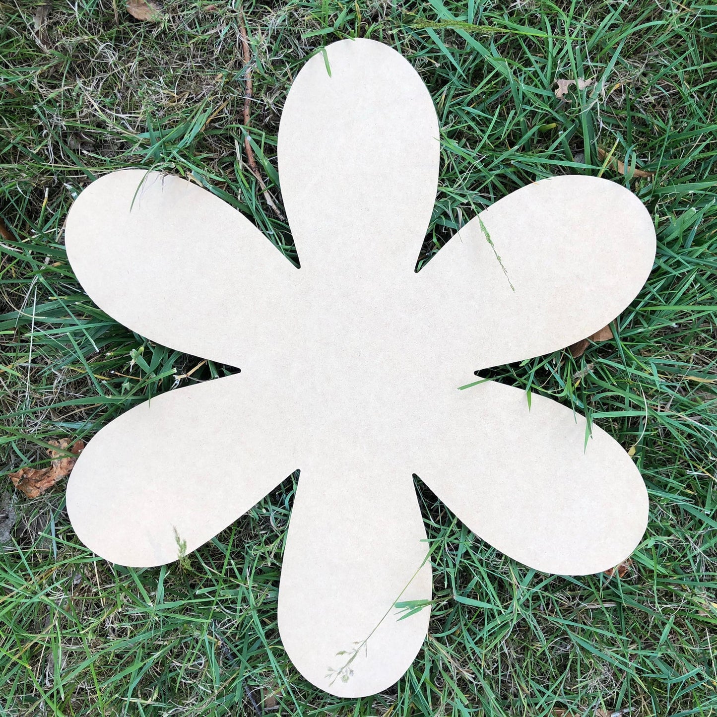 Wood Blanks - Seasonal & Shapes