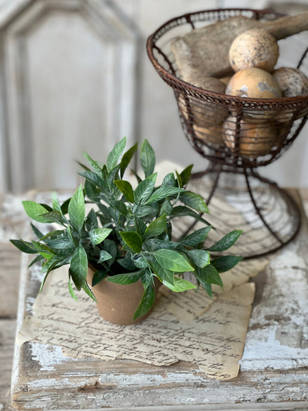 Gatehouse Herb Mini Pot