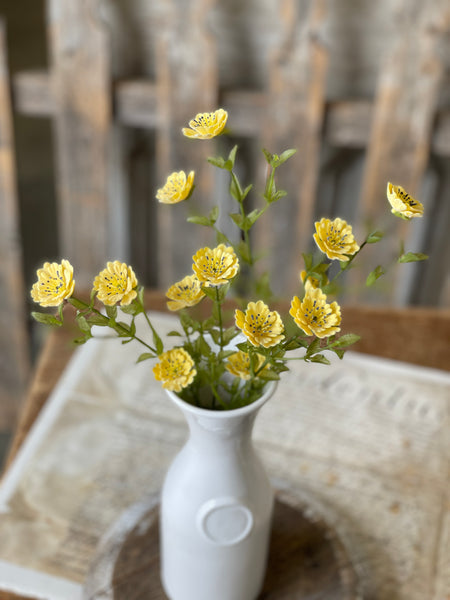 Tempest Blooms