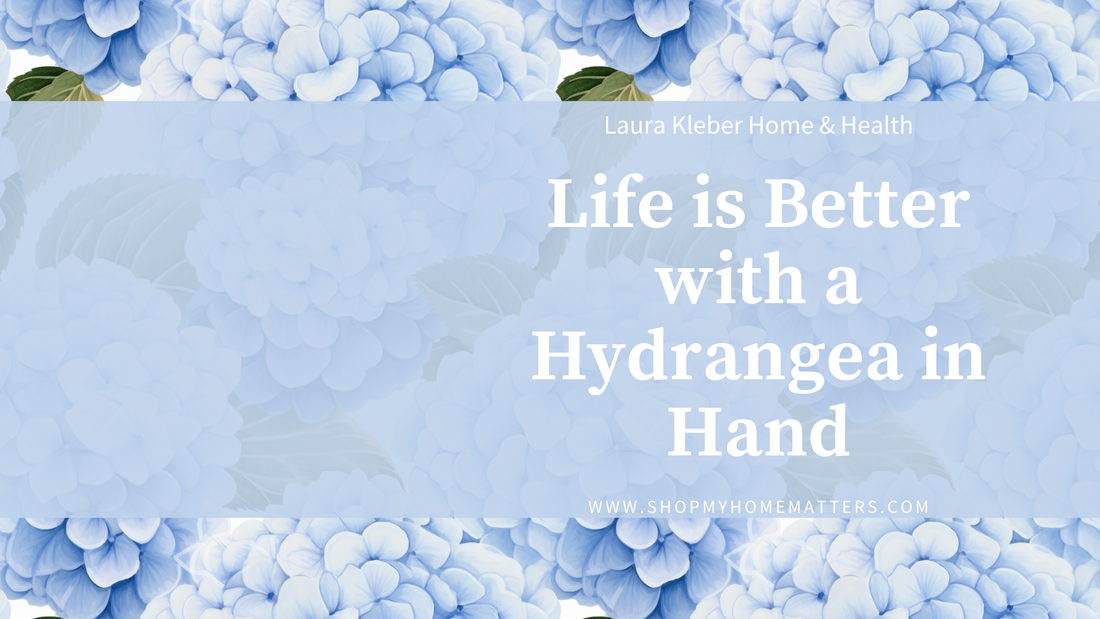 Life is Better with a Hydrangea in Hand