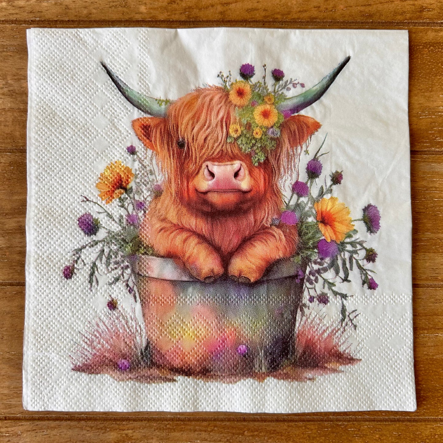 Napkin Bundle | Highland Cows