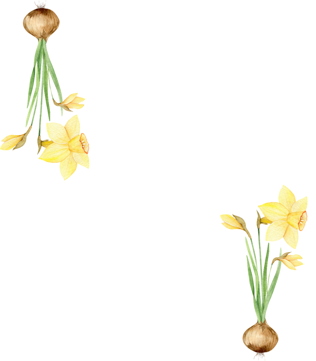 Place Cards | Yellow Daffodils (Digital Download)