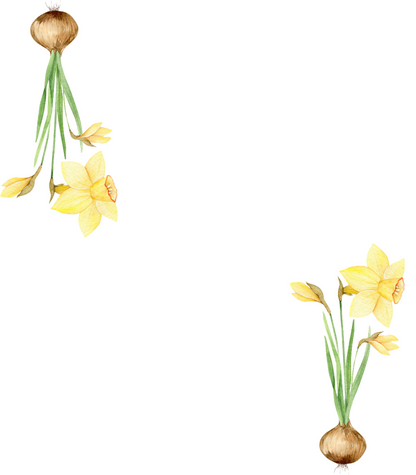 Place Cards | Yellow Daffodils (Digital Download)
