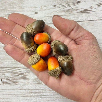 Acorn Packs