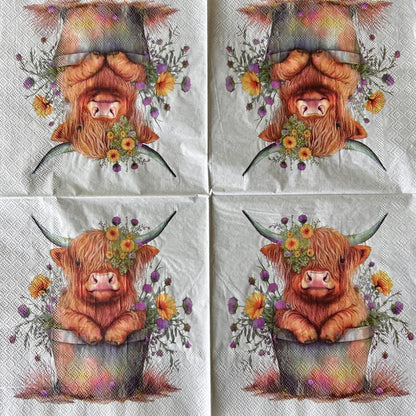 Napkin Bundle | Highland Cows
