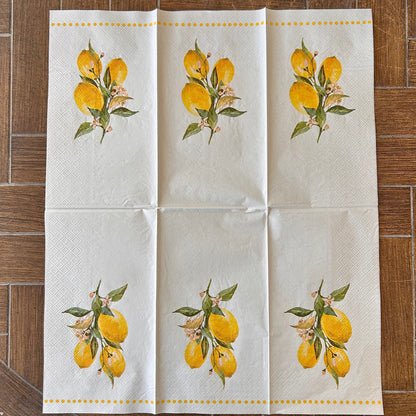 Napkin Bundle | Lemons & Stripes