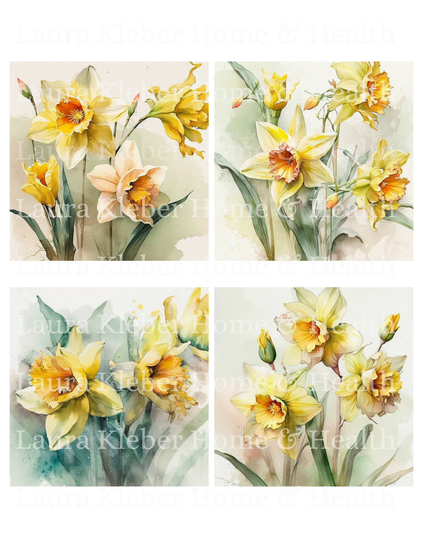 Cards | Daffodils (8 Pack)