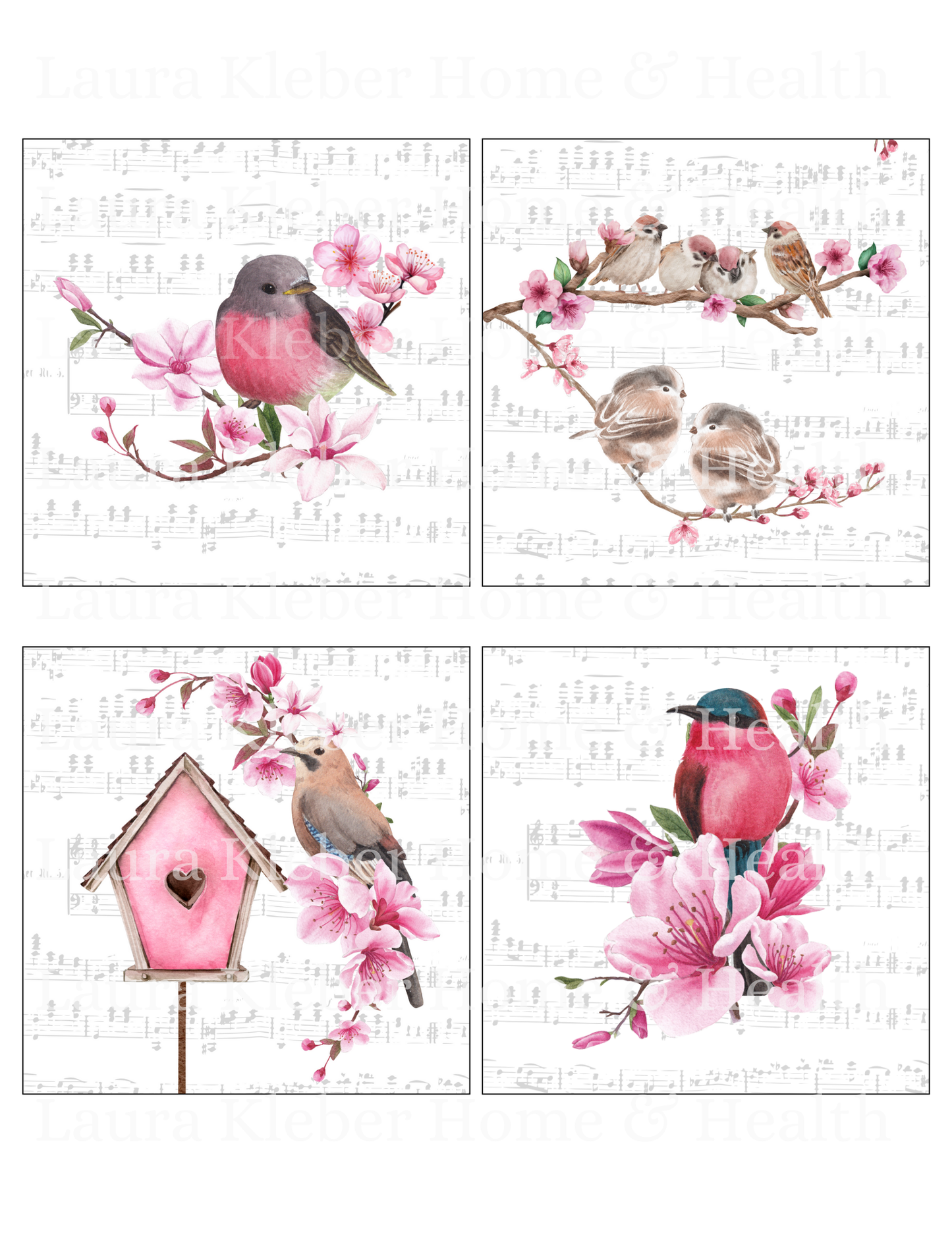 Cards | Pink Birds (8 Pack)