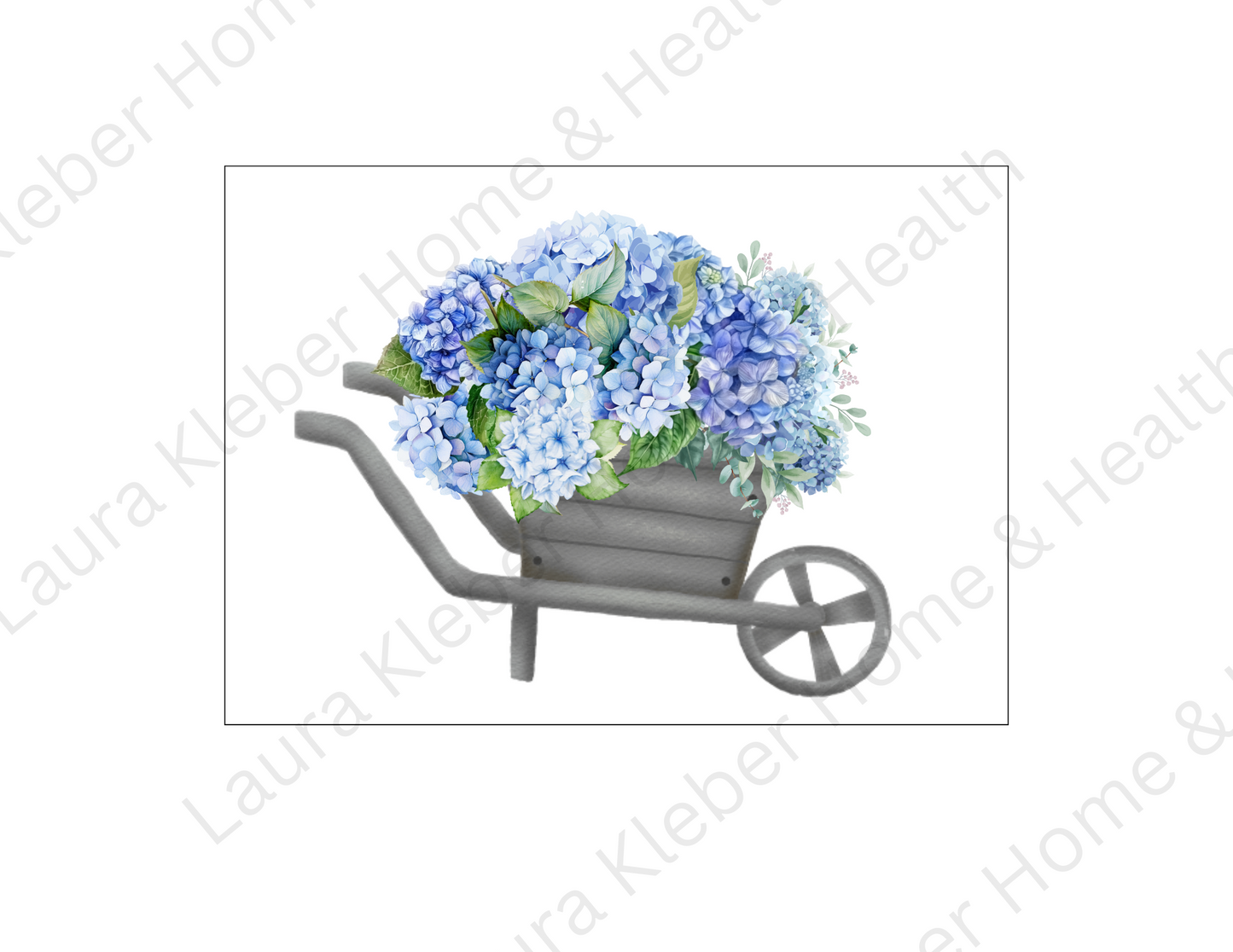 Prints | Blue Hydrangeas