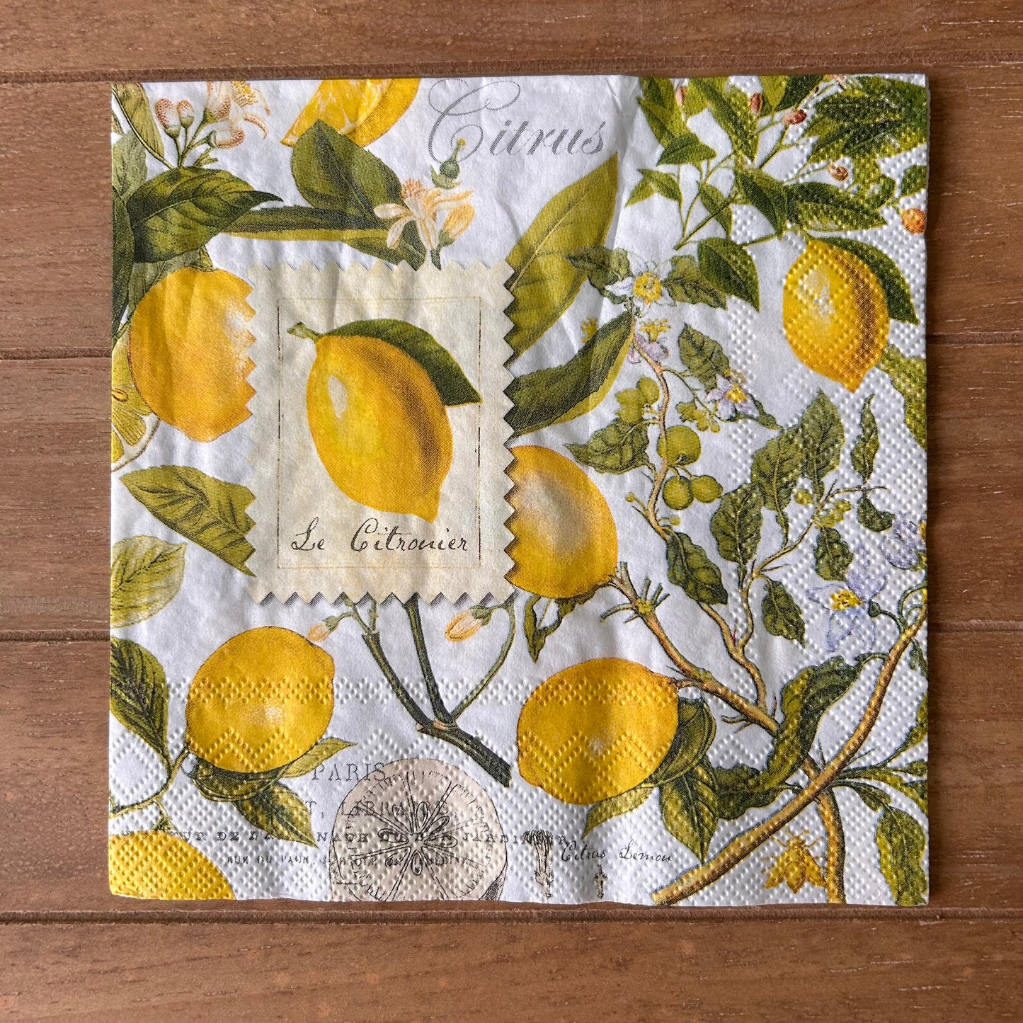 Napkin Bundle | Lemons & Stripes