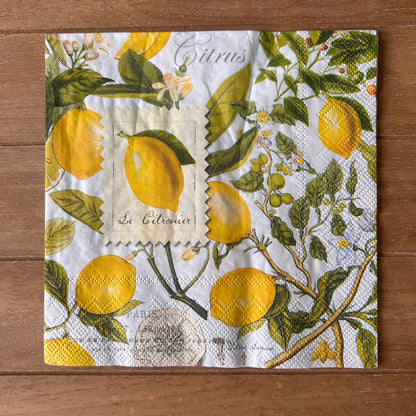 Napkin Bundle | Lemons & Stripes