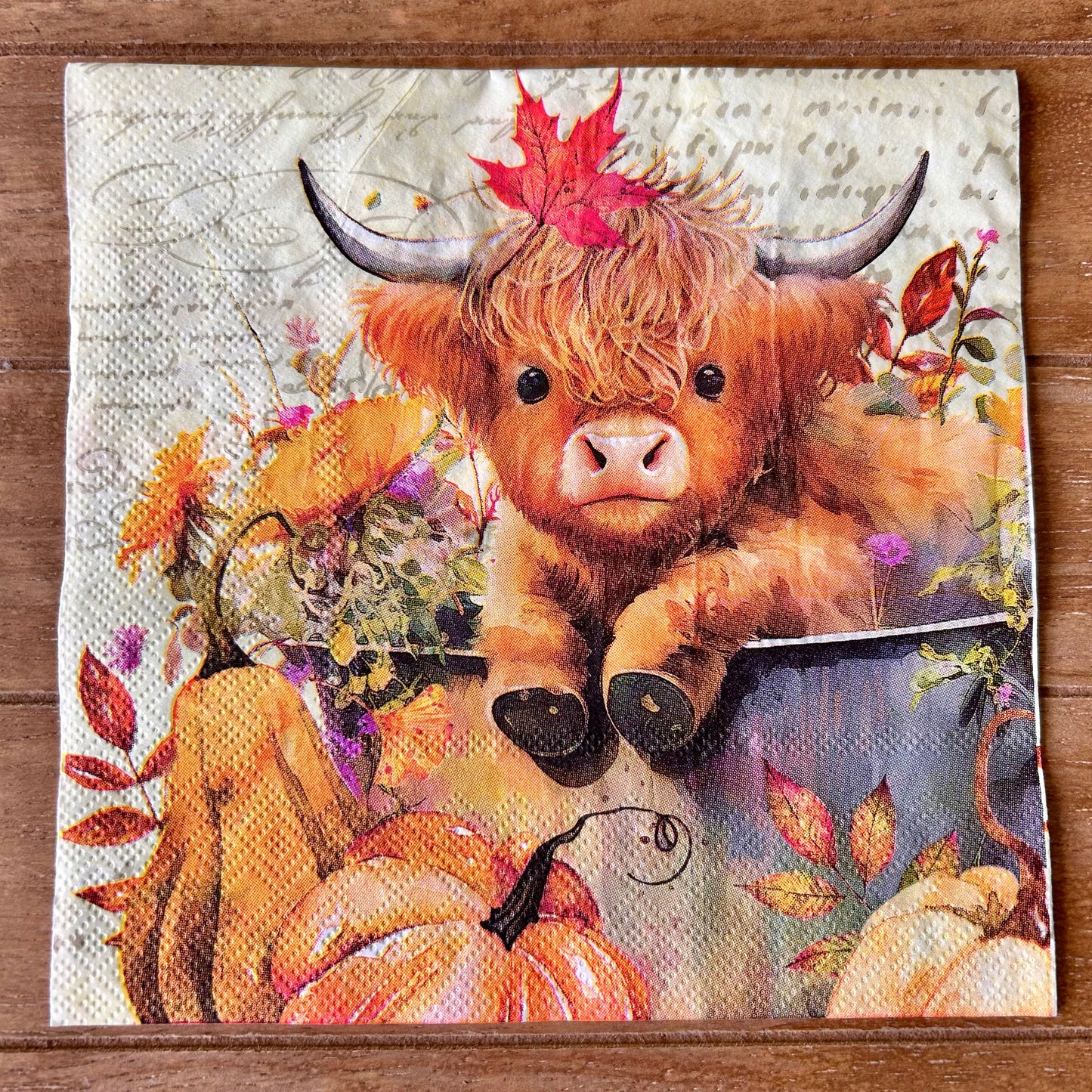 Napkin Bundle | Highland Cows