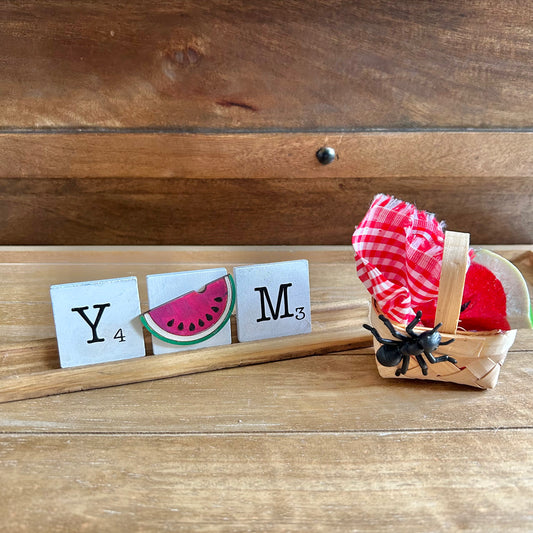 Add-On Set | Watermelon Themed