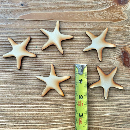 Itty Bitty Shape Cutouts