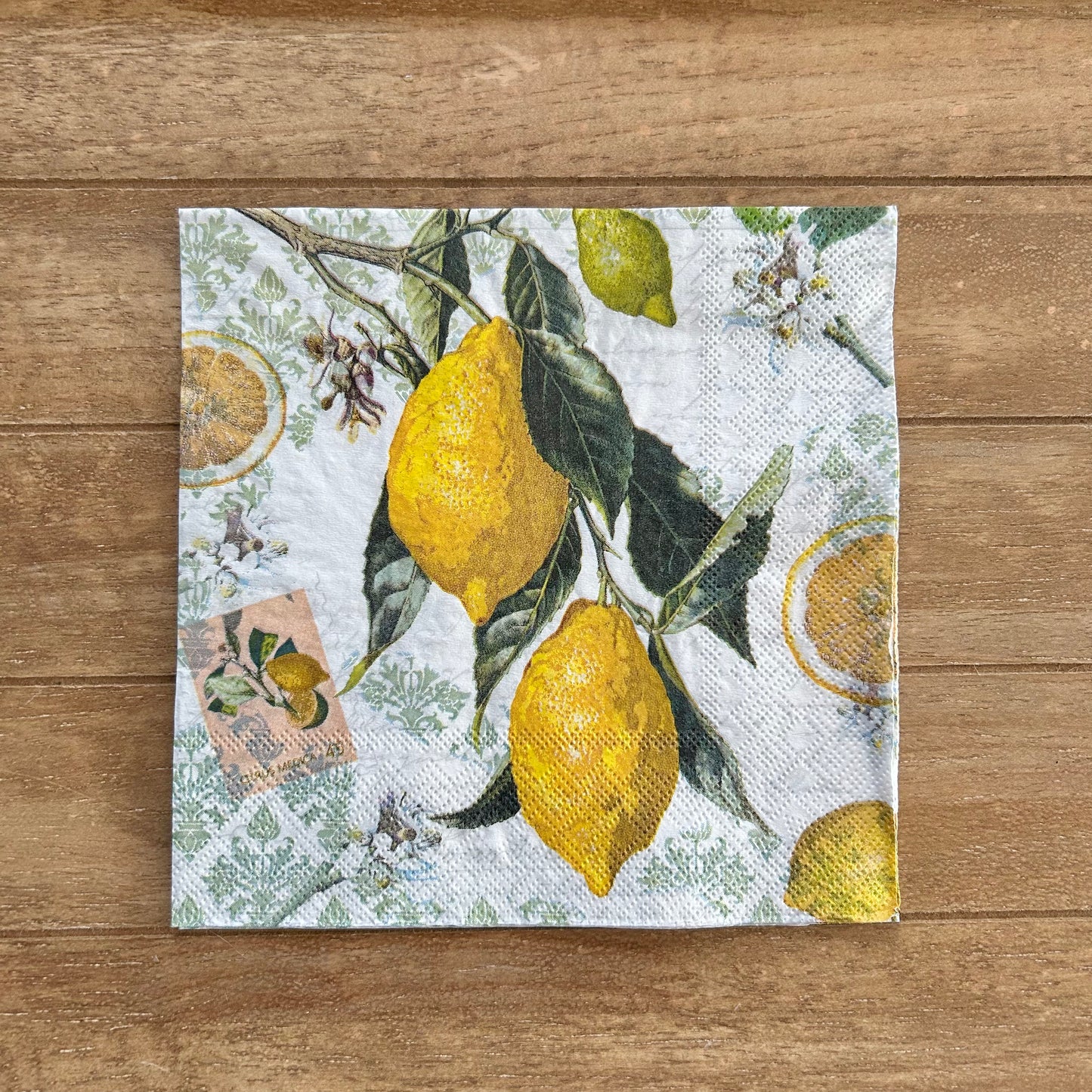 Napkin | Lemon Branch with Stamped Background