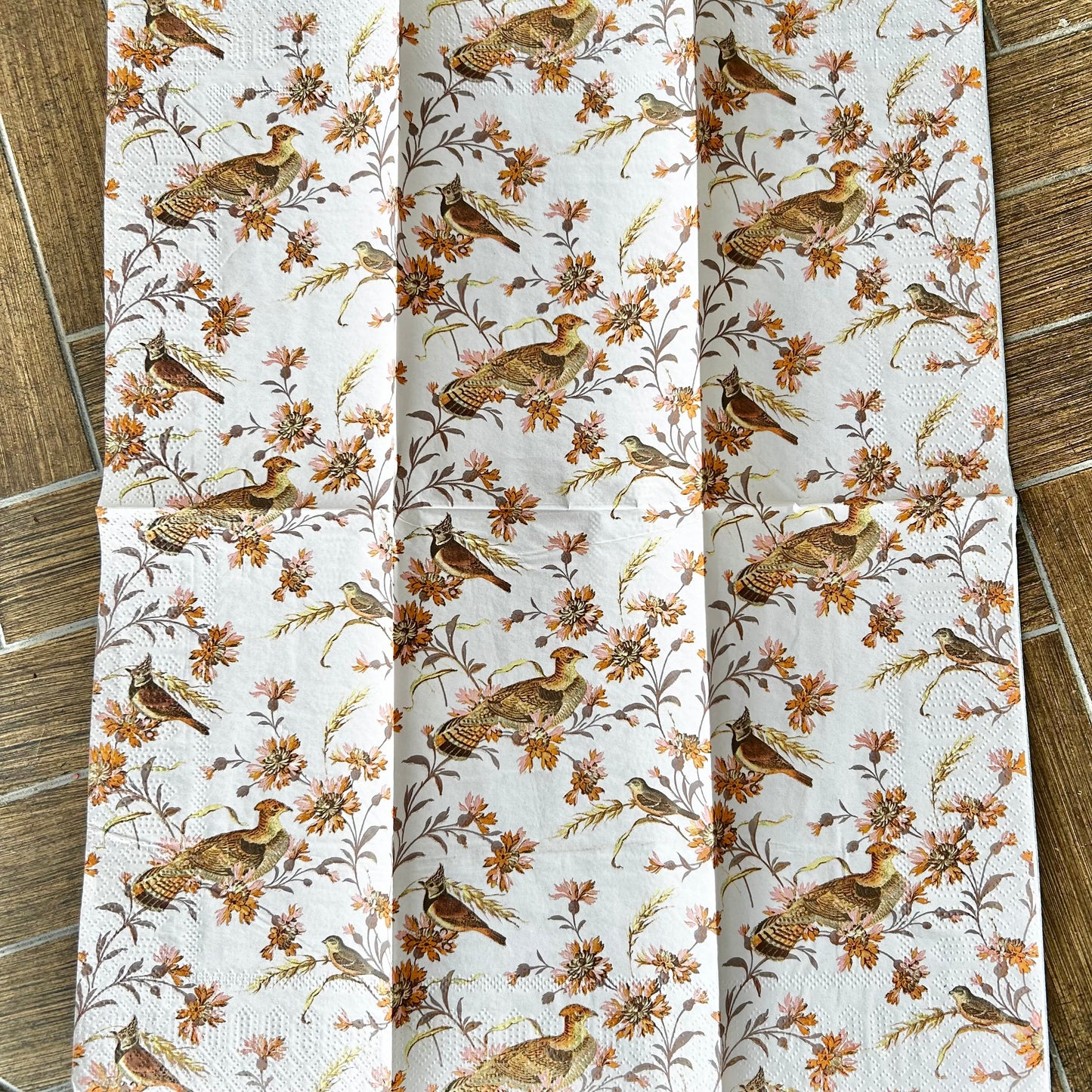 Napkin | Fall Feathered Friends