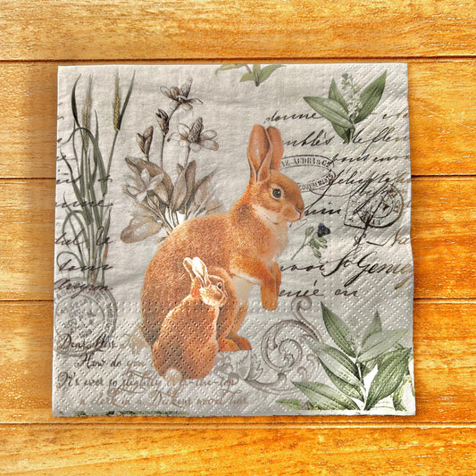 Napkin | Bunny Pair with Vintage Writing