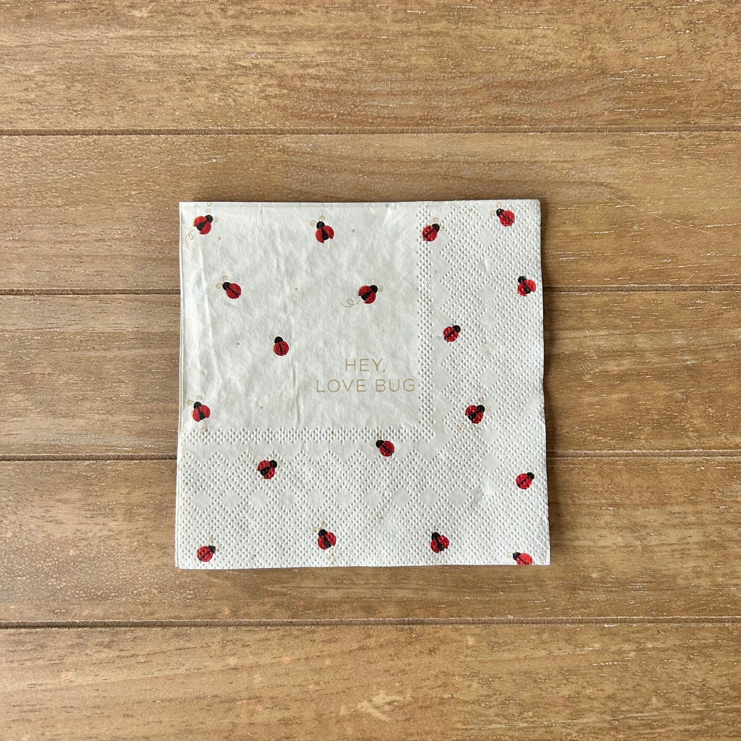 Napkin | Hey Love Bug Ladybug