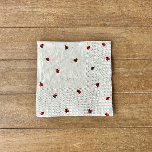Napkin | Hey Love Bug Ladybug