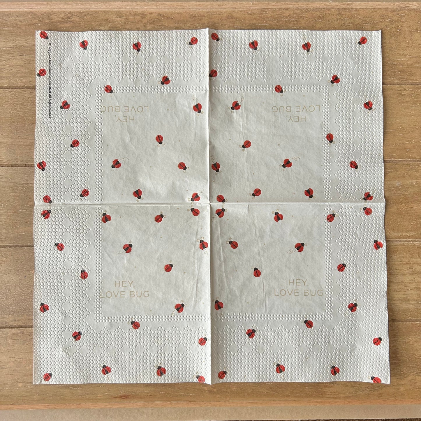 Napkin | Hey Love Bug Ladybug