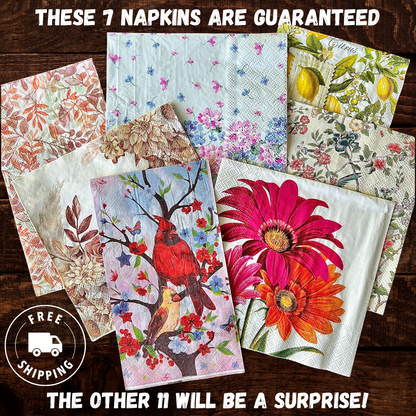 Napkin Bundle | Happy Mail Surprise Pack (FREE SHIPPING!)
