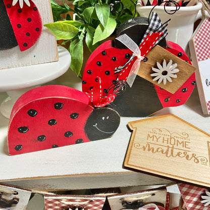 DIY Kit | Ladybug Shelf Sitters