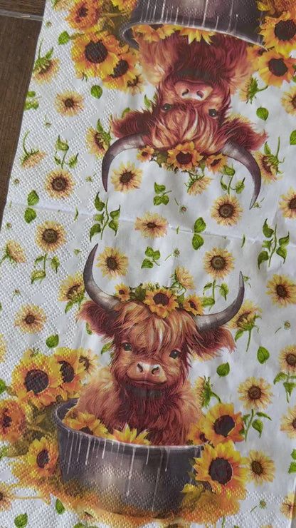 Napkin Bundle | Highland Cows