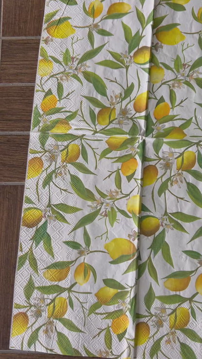 Napkin Bundle | Lemons & Stripes