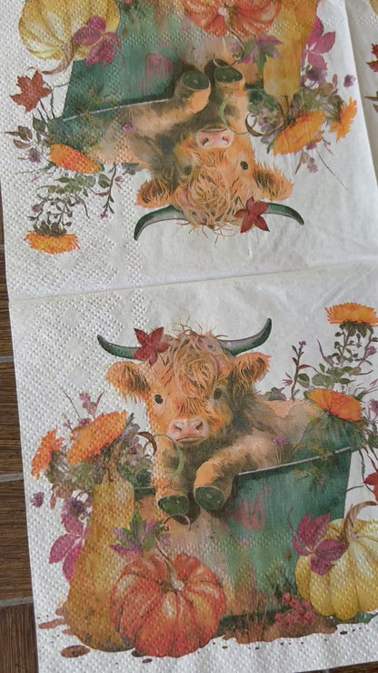 Napkin Bundle | Highland Cows
