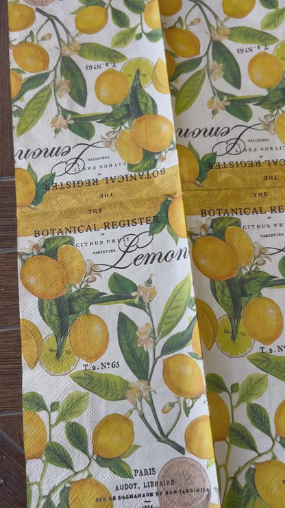 Napkin Bundle | Vintage & Botanical Lemon