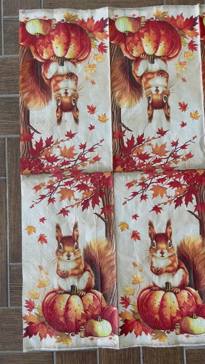 Napkin Bundle | Hello Fall Squirrel