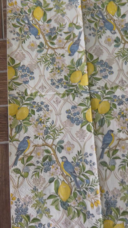 Napkin Bundle | Lemons & Bluebirds