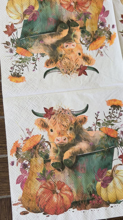 Napkin Bundle | Highland Cows