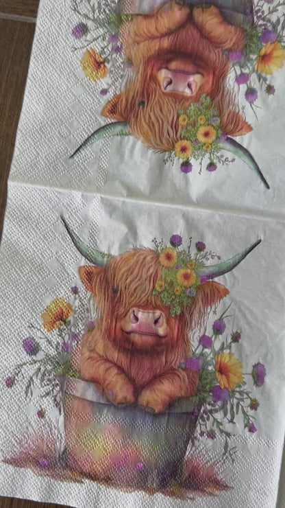 Napkin Bundle | Highland Cows