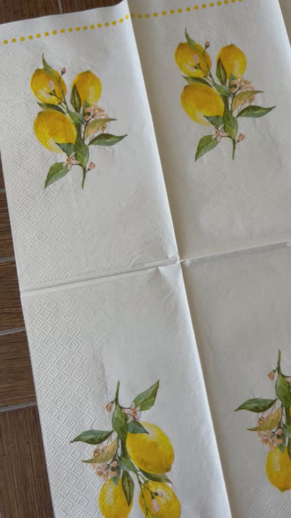 Napkin Bundle | Lemons & Stripes